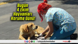 Bugün 4 Ekim Hayvanları Koruma Günü!