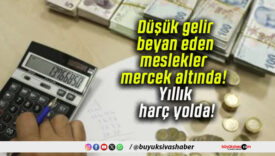 Düşük gelir beyan eden meslekler mercek altında! Yıllık harç yolda!