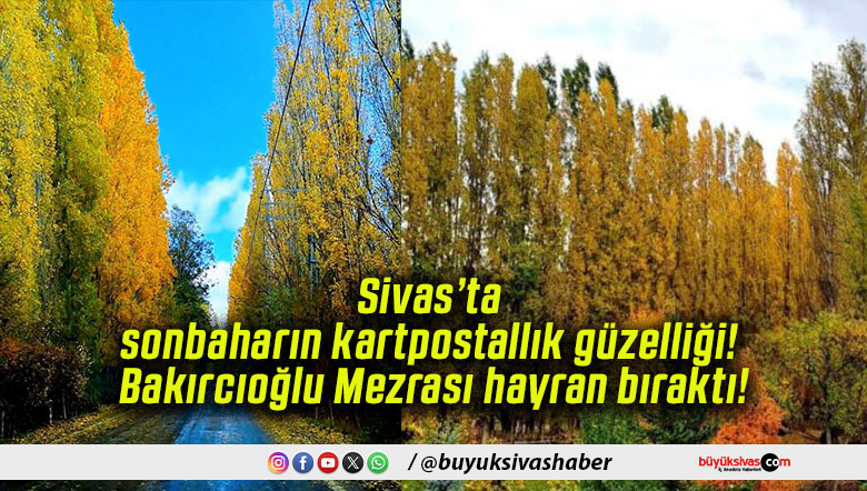 Sivas’ta sonbaharın kartpostallık güzelliği! Bakırcıoğlu Mezrası hayran bıraktı!