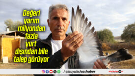 Değeri yarım milyondan fazla, yurt dışından bile talep görüyor