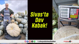 Sivas’ta Dev Kabak!