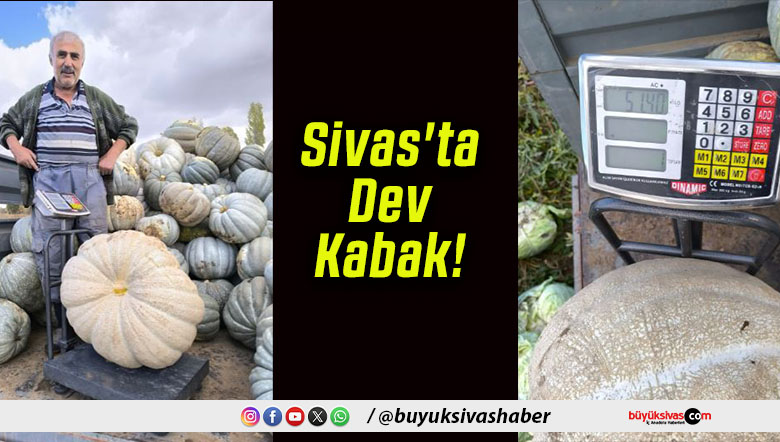 Sivas’ta Dev Kabak!