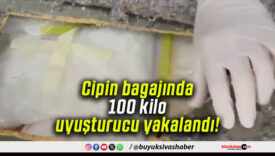 Cipin bagajında 100 kilo uyuşturucu yakalandı!