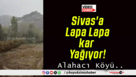 Sivas’a Lapa Lapa kar Yağıyor!