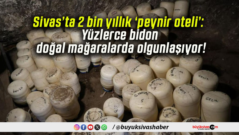 Sivas’ta 2 bin yıllık ‘peynir oteli’: Yüzlerce bidon doğal mağaralarda olgunlaşıyor!