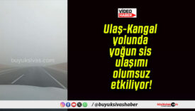 Ulaş-Kangal yolunda yoğun sis ulaşımı olumsuz etkiliyor!
