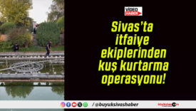 Sivas’ta itfaiye ekiplerinden kuş kurtarma operasyonu!