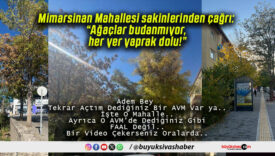 Mimarsinan Mahallesi sakinlerinden çağrı: “Ağaçlar budanmıyor, her yer yaprak dolu!”