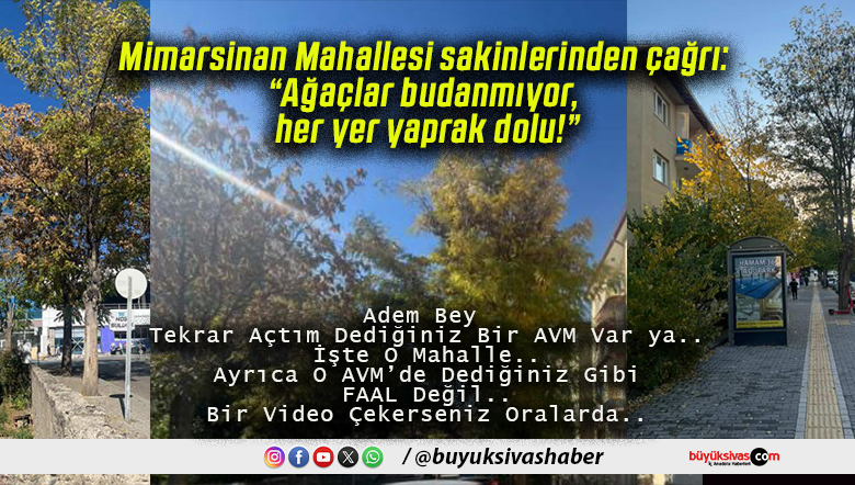 Mimarsinan Mahallesi sakinlerinden çağrı: “Ağaçlar budanmıyor, her yer yaprak dolu!”