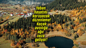 Yaban hayatını koruyacak düzenleme! Kaçak avcılığa ağır ceza geliyor!