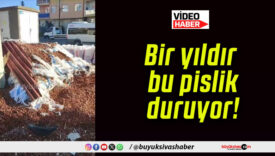 Bir yıldır bu pislik duruyor!