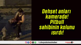 Dehşet anları kamerada! Pitbull sahibinin kolunu ısırdı!