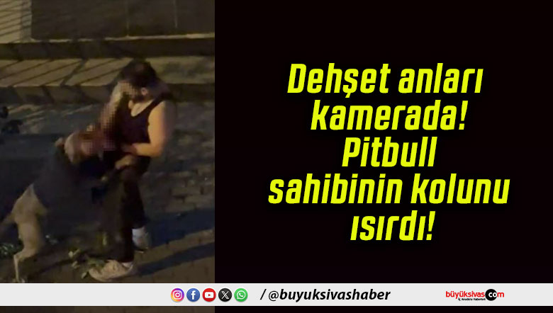 Dehşet anları kamerada! Pitbull sahibinin kolunu ısırdı!