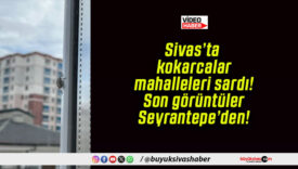 Sivas’ta kokarcalar mahalleleri sardı! Son görüntüler Seyrantepe’den!