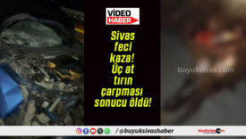 Sivas feci kaza! Üç at tırın çarpması sonucu öldü!