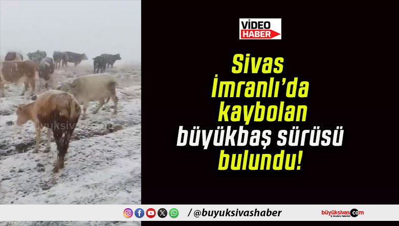 Sivas İmranlı’da kaybolan büyükbaş sürüsü bulundu!