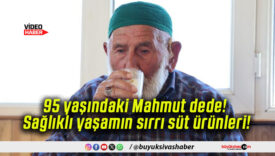 95 yaşındaki Mahmut dede! Sağlıklı yaşamın sırrı süt ürünleri!