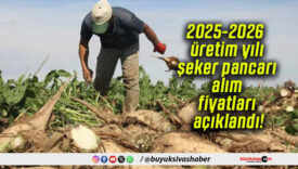 2025-2026 üretim yılı şeker pancarı alım fiyatları açıklandı!