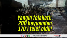 Yangın felaketi! 200 hayvandan 170’i telef oldu!