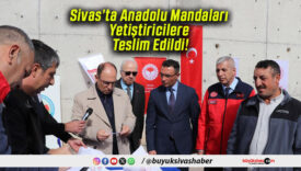 Sivas’ta Anadolu Mandaları Yetiştiricilere Teslim Edildi!