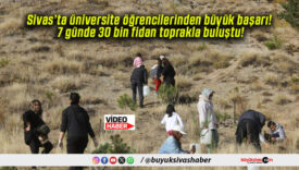 Sivas’ta üniversite öğrencilerinden büyük başarı! 7 günde 30 bin fidan toprakla buluştu!