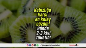 Kabızlığa karşı en kolay çözüm! Günde 2-3 kivi tüketin!