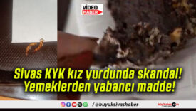 Sivas KYK kız yurdunda skandal! Yemeklerden yabancı madde!