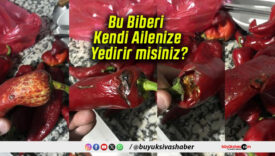 Bu Biberi Kendi Ailenize Yedirir misiniz?