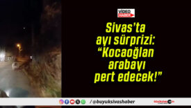 Sivas’ta ayı sürprizi: “Kocaoğlan arabayı pert edecek!”