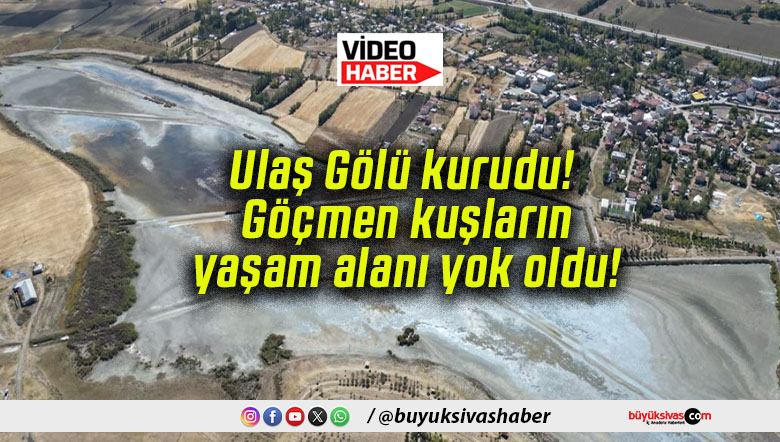 Ulaş Gölü kurudu! Göçmen kuşların yaşam alanı yok oldu!