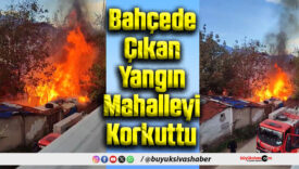 Müstakil Ev Bahçesinde Çıkan Yangın Mahallede Paniğe Neden Oldu