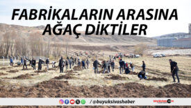 Sivas OSB’de Yeşil Dönüşüm Başladı: Binlerce Fidan Toprakla Buluşuyor
