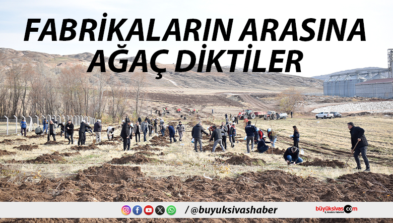 Sivas OSB’de Yeşil Dönüşüm Başladı: Binlerce Fidan Toprakla Buluşuyor