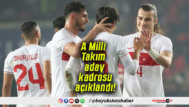 A Milli Takım aday kadrosu açıklandı!