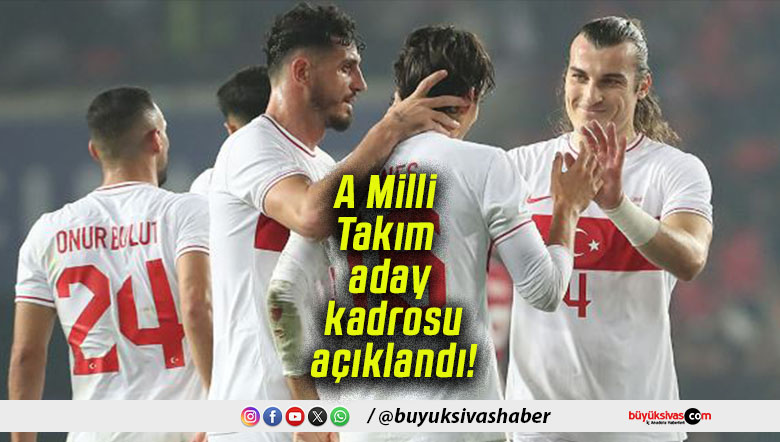 A Milli Takım aday kadrosu açıklandı!
