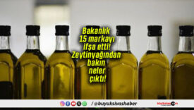 Bakanlık 15 markayı ifşa etti! Zeytinyağından bakın neler çıktı!