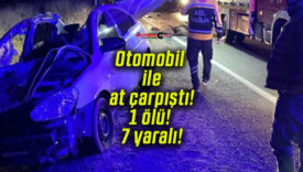 Otomobil ile at çarpıştı! 1 ölü! 7 yaralı!