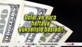 Dolar ve euro haftaya yükselişle başladı!