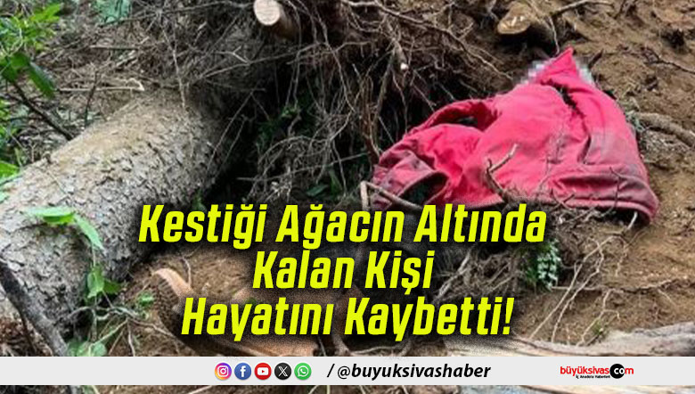 Kestiği Ağacın Altında Kalan Kişi Hayatını Kaybetti!