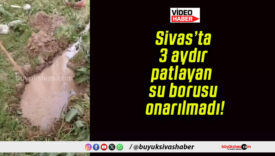 Sivas’ta 3 aydır patlayan su borusu onarılmadı!