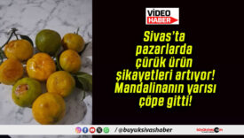 Sivas’ta pazarlarda çürük ürün şikayetleri artıyor! Mandalinanın yarısı çöpe gitti!