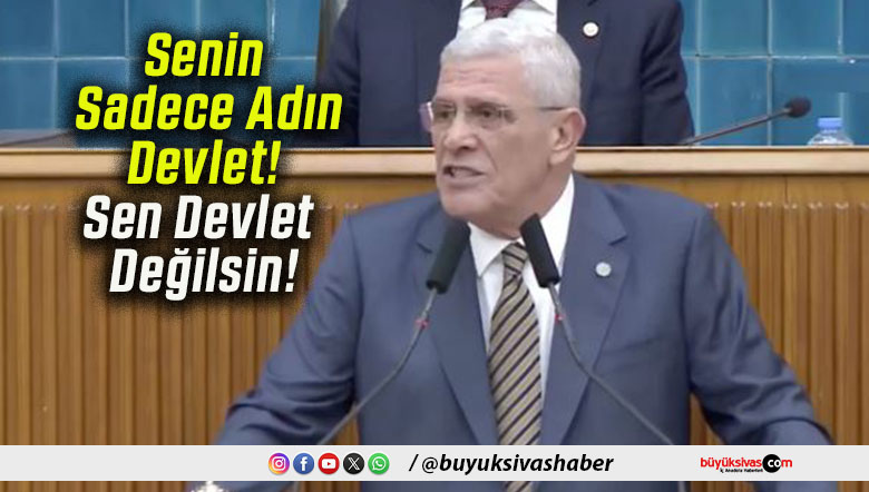Senin Sadece Adın Devlet! Sen Devlet Değilsin!