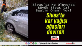 Sivas’ta kar yağışı ağaçları devirdi!