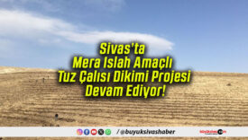 Sivas’ta Mera Islah Amaçlı Tuz Çalısı Dikimi Projesi Devam Ediyor!