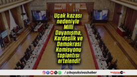 Uçak kazası nedeniyle Milli Dayanışma, Kardeşlik ve Demokrasi Komisyonu toplantısı ertelendi!