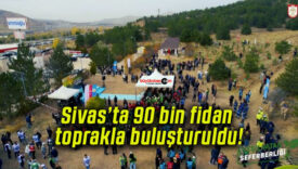 Sivas’ta 90 bin fidan toprakla buluşturuldu!