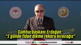 Cumhurbaşkanı Erdoğan: “1 günde fidan dikme rekoru kıracağız”