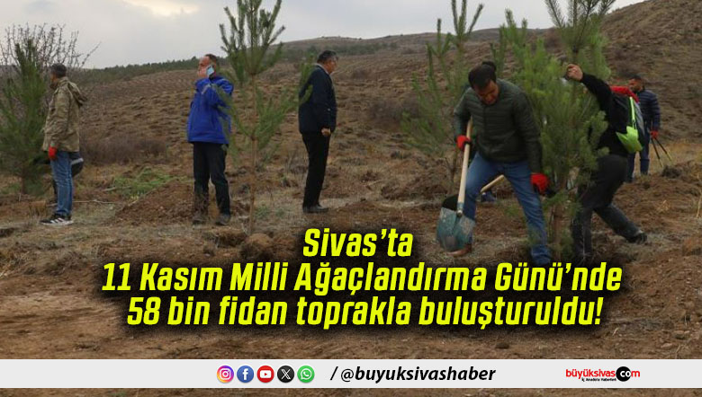 Sivas’ta 11 Kasım Milli Ağaçlandırma Günü’nde 58 bin fidan toprakla buluşturuldu!