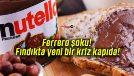Ferrero şoku! Fındıkta yeni bir kriz kapıda!