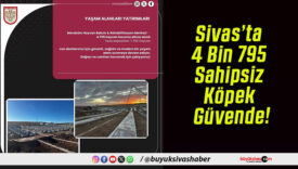 Sivas’ta 4 Bin 795 Sahipsiz Köpek Güvende!